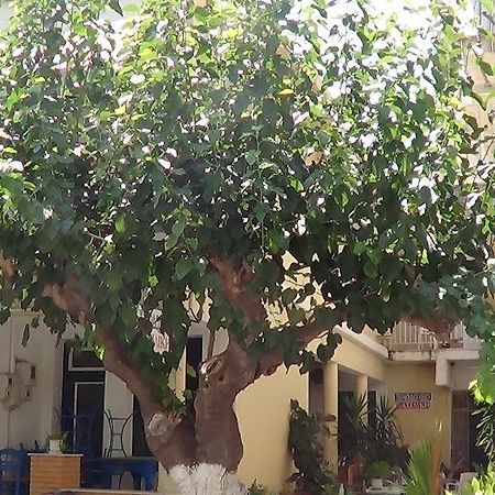 Mouroukis Rooms Loutra Edipsou (Evia) Exterior foto